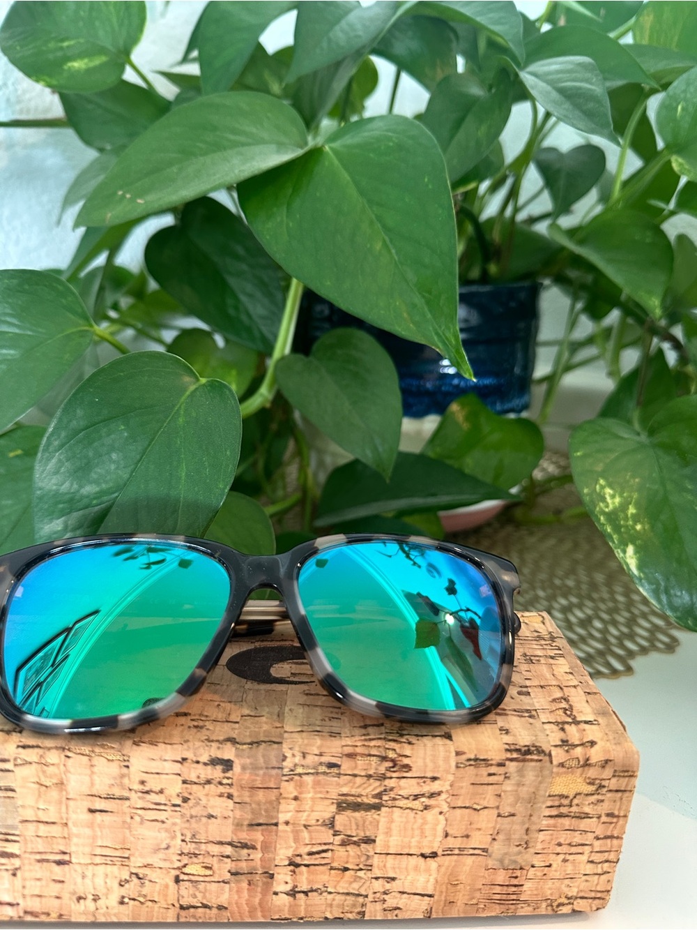 Costas Del Mar Collection-May Polarized Sunglasses